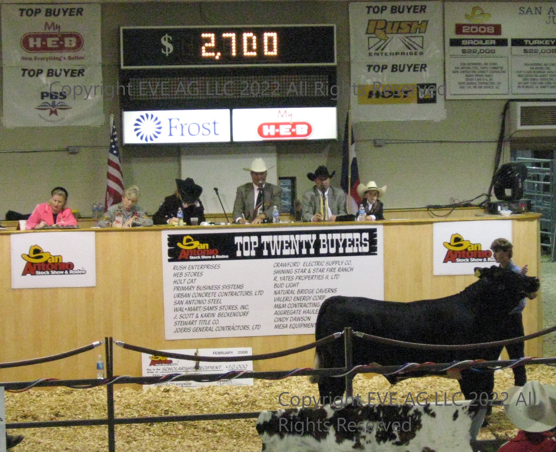 EVE AG Cattle